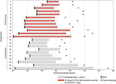 Frontiers | Colonization of Supplemented Bifidobacterium breve M 